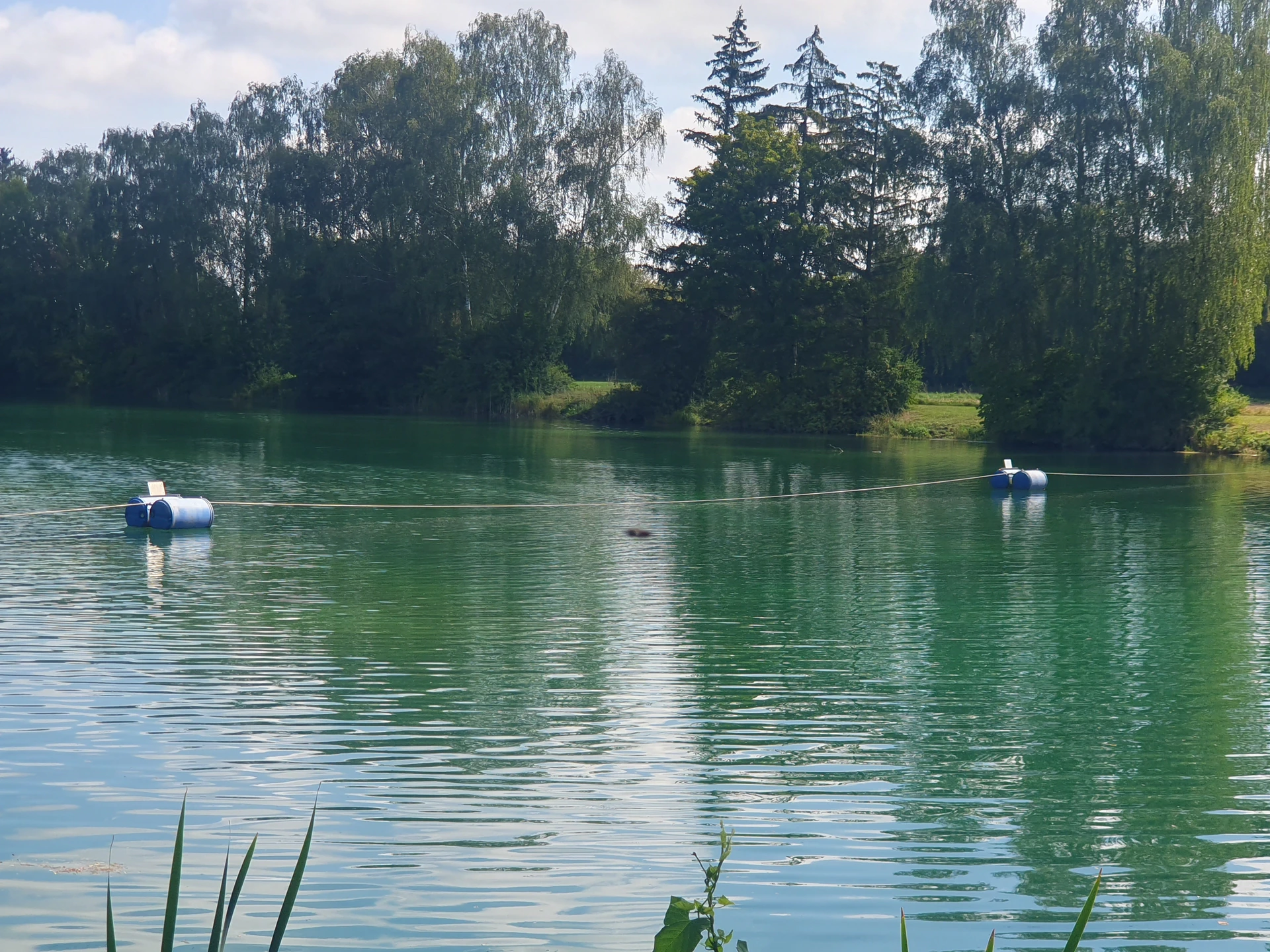 Die Absperrung mit Stahlseil und Schwimmkörpers des Badebereichs