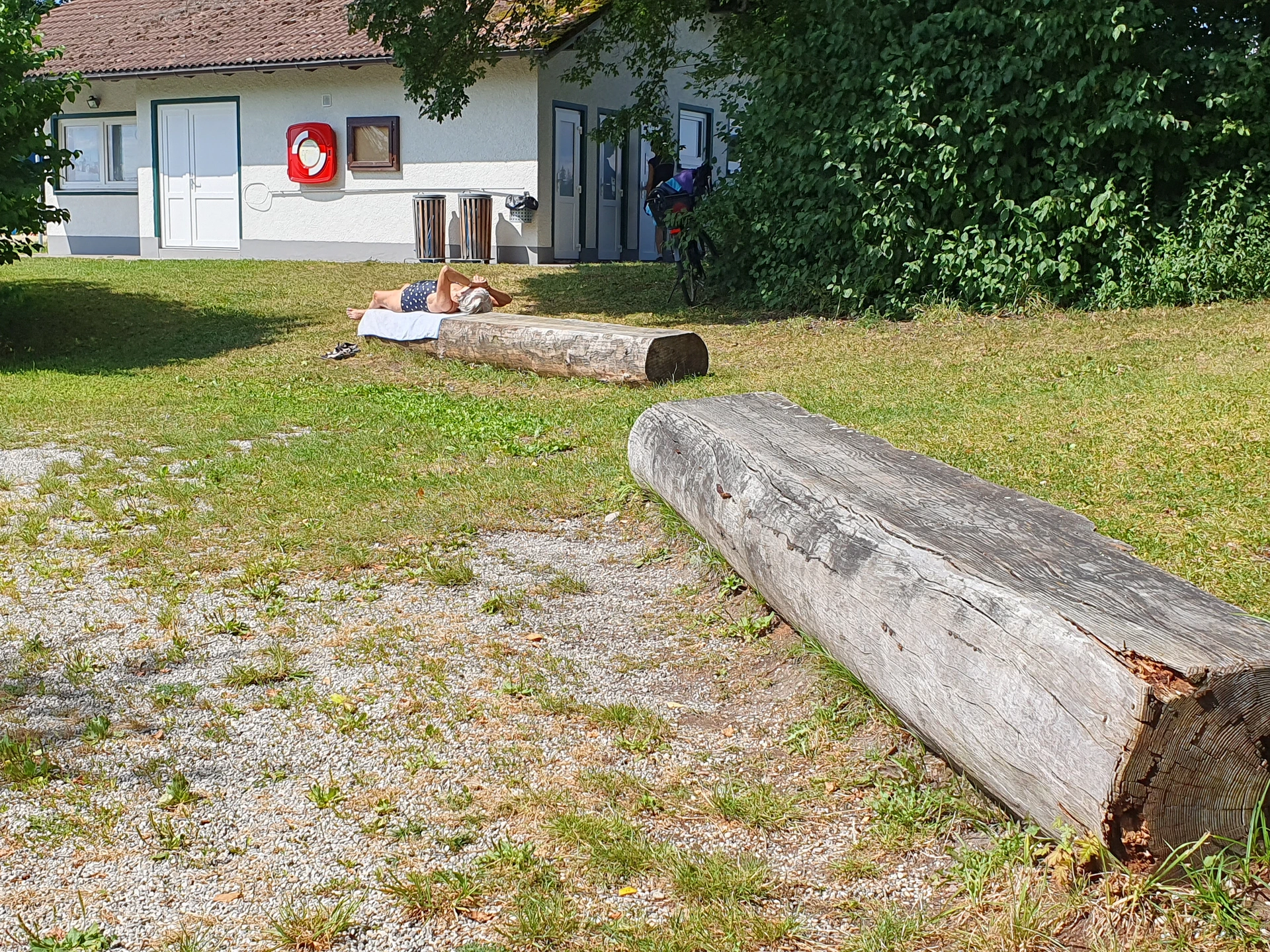 Zwei große liegende Baumstämme als Sitzgelegenheit im nördlichen Liegebreich, im Hintergrund das Vereinsheim