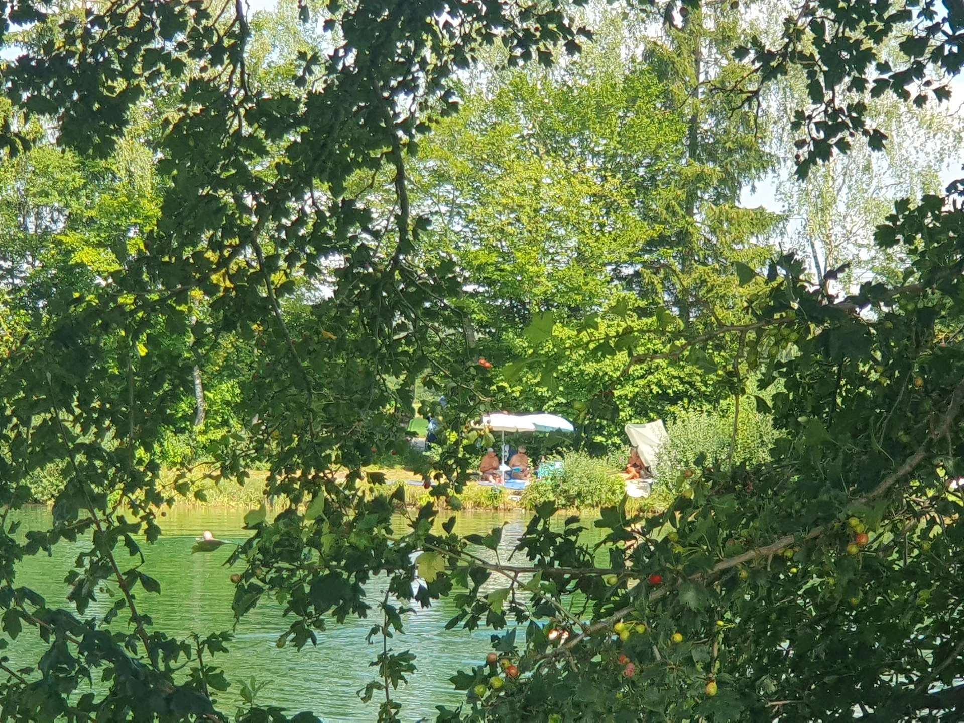 Blick durch die Uferböschung zu versteckten Badegästen mit Sonnenschirm