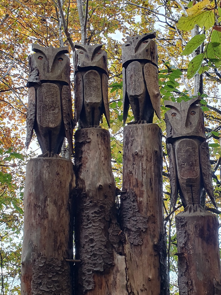 Vier Eulen, die aus Baumstämmen herausgearbeitet wurden
