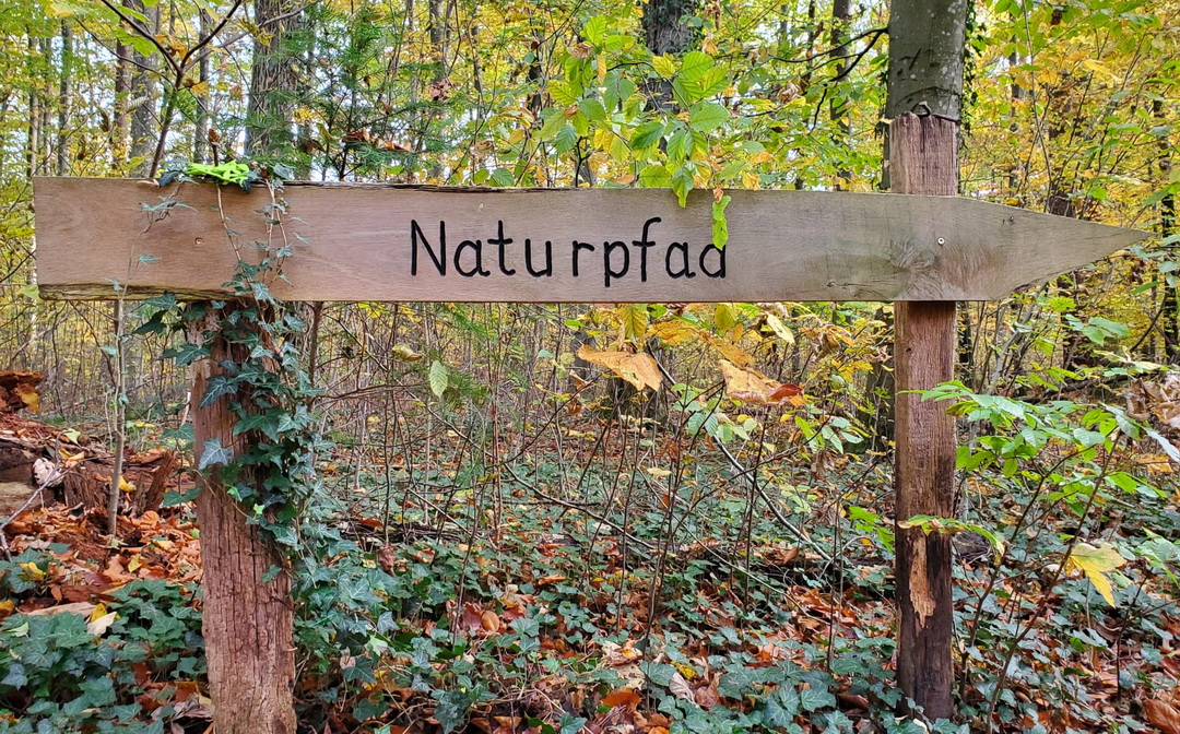 Wegweiser aus Holz mit der Beschriftung "Naturpfad"