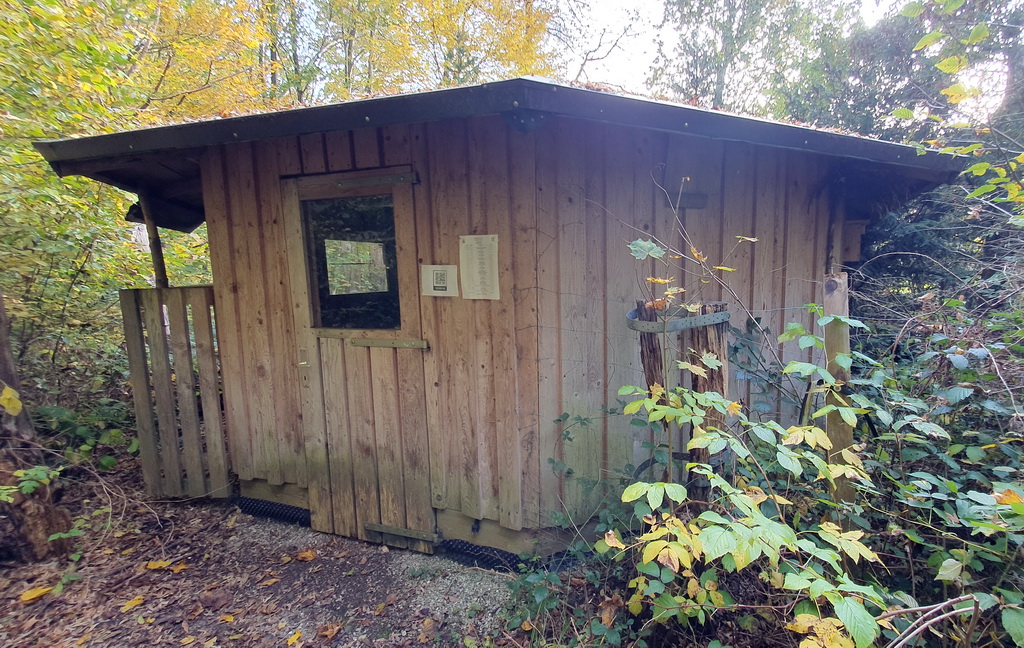 Das Informationshaus aus Holz mitten im Wald