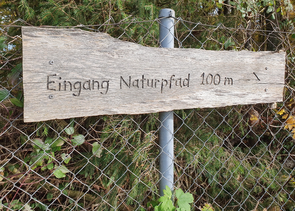 Wegweiser aus Holz mit dem Hinweis "Eingang Naturpfad 100m"
