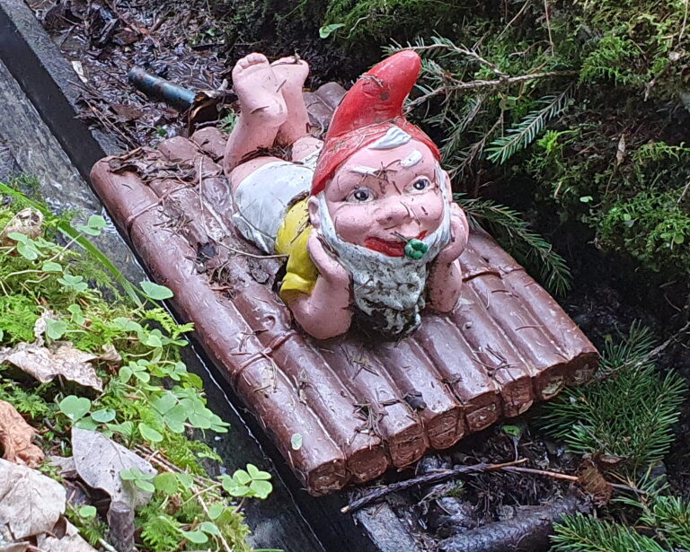 zwergerlwald taufkirchen flossfahrt 768x615