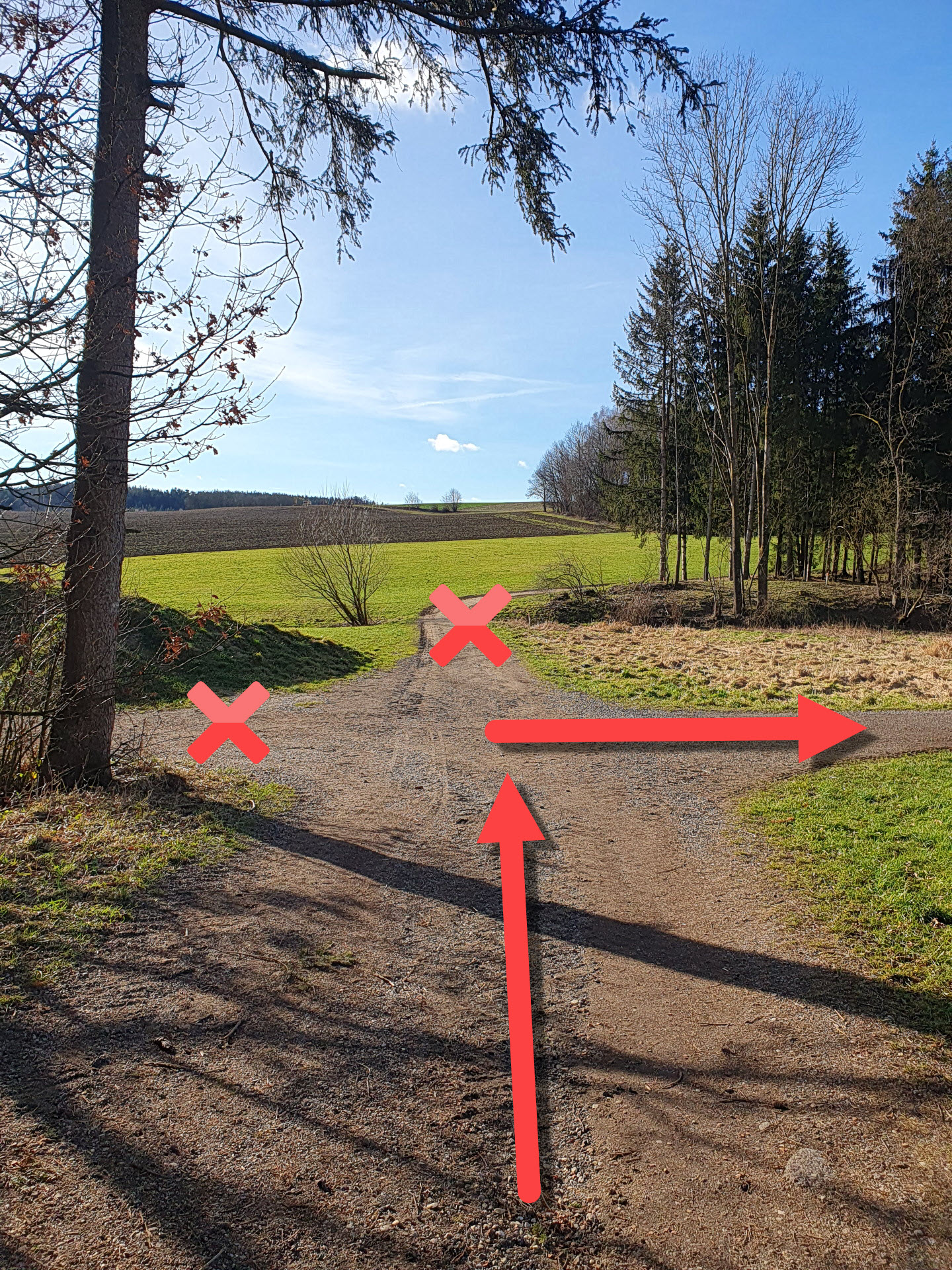 Foto der Kreuzung auf dem Weg zum Zwergerlwald in Taufkirchen kurz vor dem eigentlichen Wald.