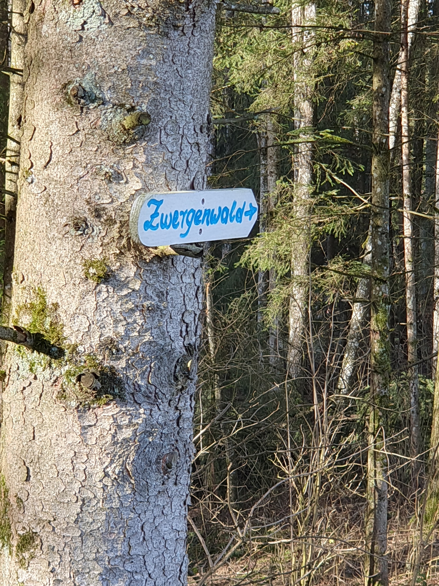 Ein Wegweiser zum Zwergerlwald in Taufkirchen an einem Baum